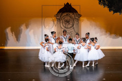 LGC_6895 LGC_6895