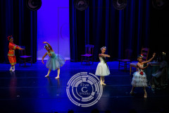 LGC_6732 LGC_6732