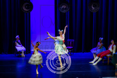 LGC_6809 LGC_6809