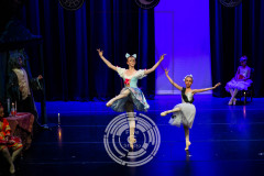 LGC_6823 LGC_6823