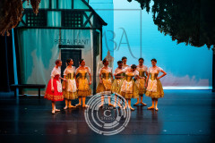 LGC_6706 LGC_6706