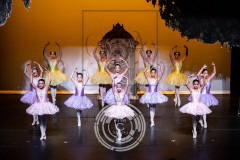 Waltz of the Hours (levels 2 3 and PAP)