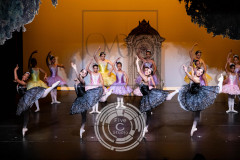 LGC_6847 LGC_6847