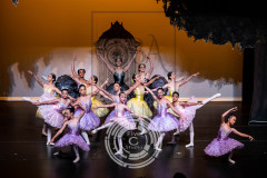 LGC_6851 LGC_6851